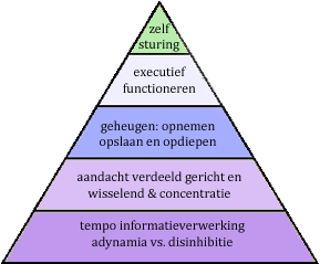 cognitieve piramide